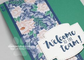 Playing Catch Up with our Card Making