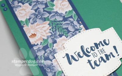 Playing Catch Up with our Card Making