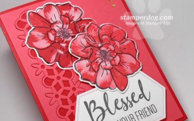 Spring Flower Card Re-Do