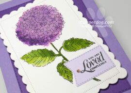 We Love Hydrangeas!