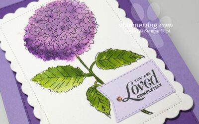 We Love Hydrangeas!