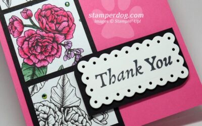 Quick Pink Thank You Card