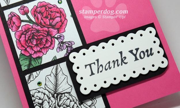 Quick Pink Thank You Card