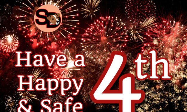 Be Safe This 4th of July!