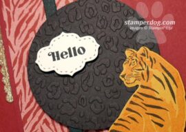 Saying Hello With a Cat Card