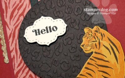 Saying Hello With a Cat Card