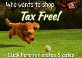 Free Stamps and Stuff Start Today