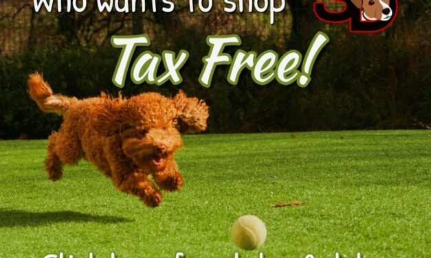 Free Stamps and Stuff Start Today