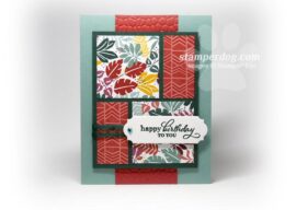 Mystery Birthday Card