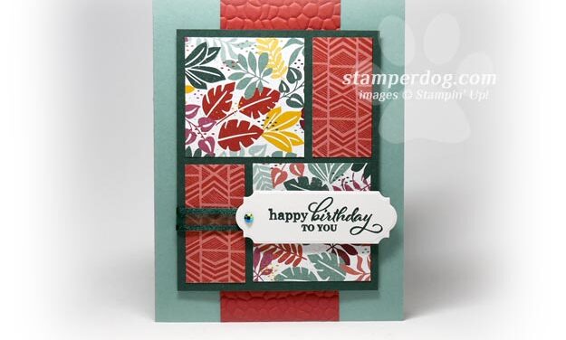 Mystery Birthday Card