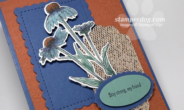 Blue Get Well Card