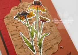 Fun Working with Cork Paper