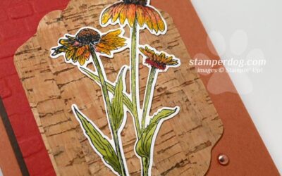 Fun Working with Cork Paper