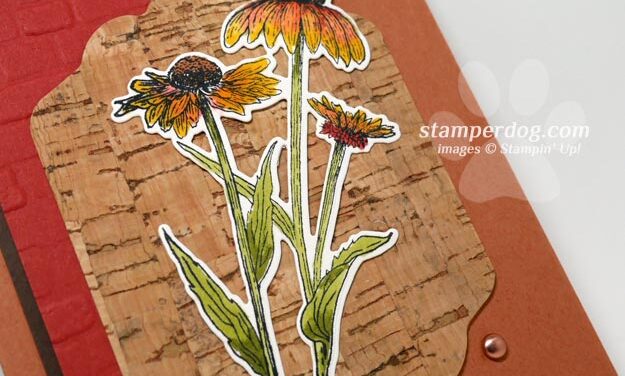 Fun Working with Cork Paper