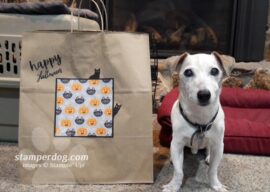 Make a Fancy Trick or Treat Bag