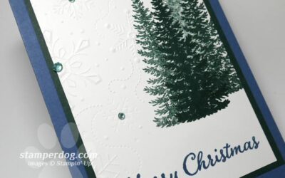 Have You Started Your Christmas Cards Yet?