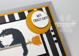 Celebrating Sunday with a Hello Cat Card