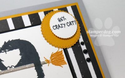 Celebrating Sunday with a Hello Cat Card