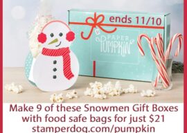Christmas Crafts Kit