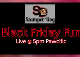 Let’s Celebrate Black Friday Together!
