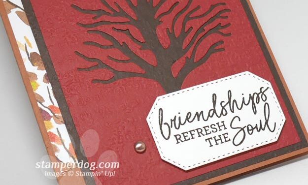 I Love This Tree Card