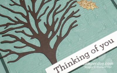 Make a Beautiful Card with Cotton Paper