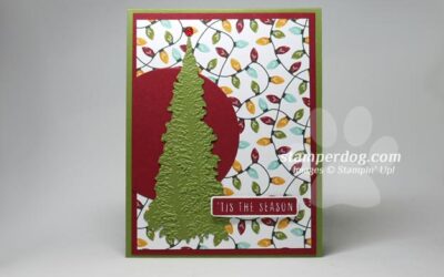 Christmas Fancy Fold