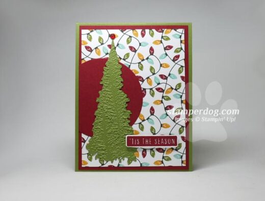 Christmas Fancy Fold Card