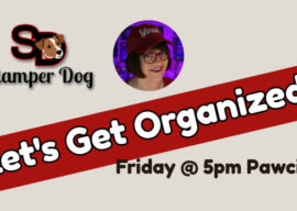 We’re Getting Organized Today!
