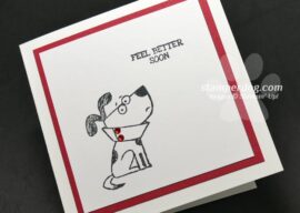 Little Dog Get Well Card