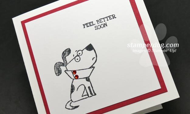 Little Dog Get Well Card