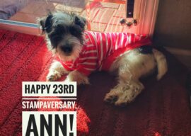 Happy 23rd Stamping Anniversary!