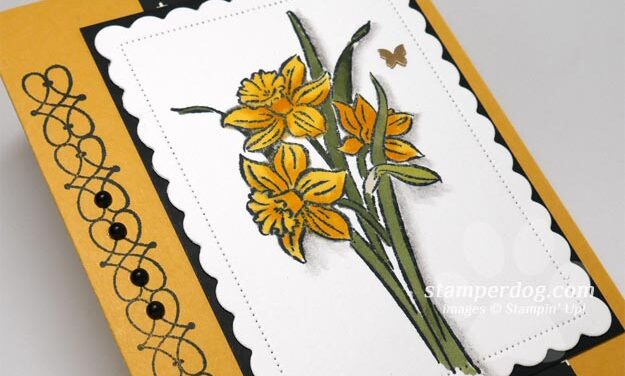 Making a Watercolor Daffodil Notecard