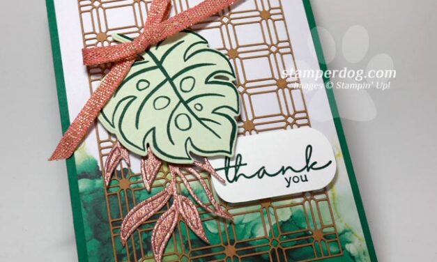 Let’s Make a Fancy Thank You Card