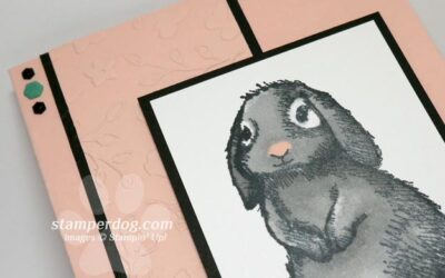 Spring Card for a Friend