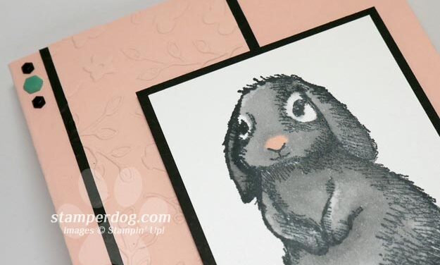 Spring Card for a Friend