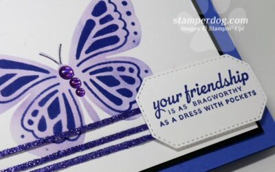 Old & New Butterfly Card
