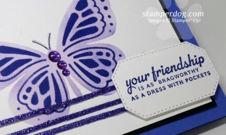 Old & New Butterfly Card
