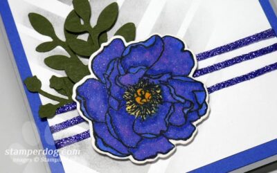 Cardmaking Experiment That Worked