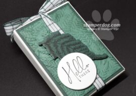 Let’s Make Another Sweet Little Box