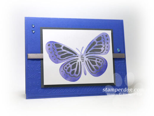 Masked Butterfly