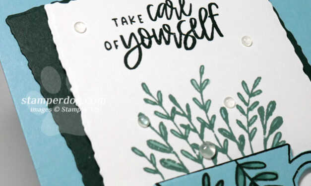 Encourage Wellness