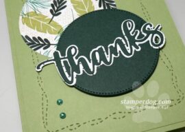 Where Do You Get Your Color Inspiration?