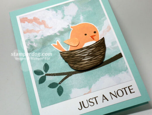 Cute Little Bird Card