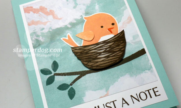 What a Cute Little Bird Card!