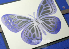 Making a Masked Butterfly