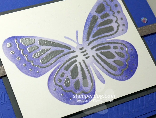 Making a Masked Butterfly
