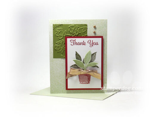 Plant Thank You Card