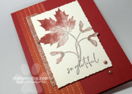 Make a Card with Leftovers