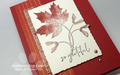 Make a Card with Leftovers